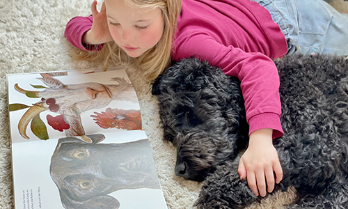 Ein Hund hat das Potenzial, Kinder bei der Aufgabe zu motivieren und ihre Konzentration zu fördern, sowie Stress und Angst bei den Kindern zu reduzieren