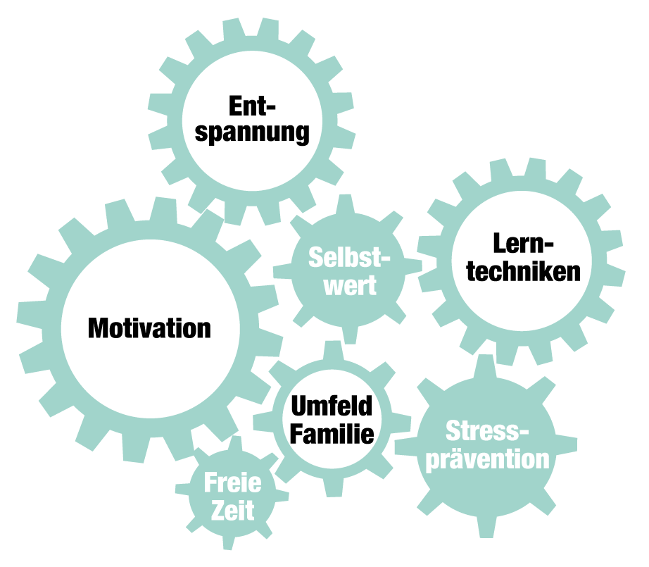 Das Kind wird als Ganzes betrachtet, denn viel Punkte können zueinander in Verbindung gebracht werden und sind ein Rädchen eines ganzen Systems. Wichtige Faktoren für ein ausgeglichenes Kind sind Entspannung, Selbstwert, Motivation, Lerntechniken, Umfeld und Familie und Stressprävention